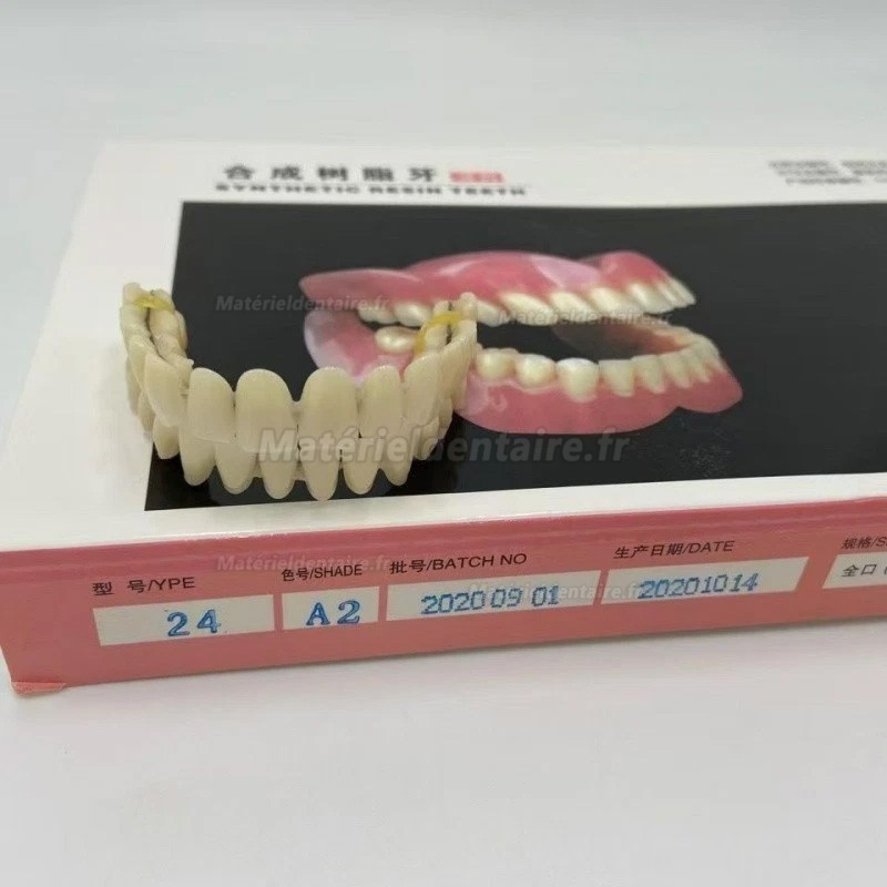 Prothèses dentaires en résine CAIYU (flexibles, bilatérales et symétriques) A1/A2/A3/A3.5/A4